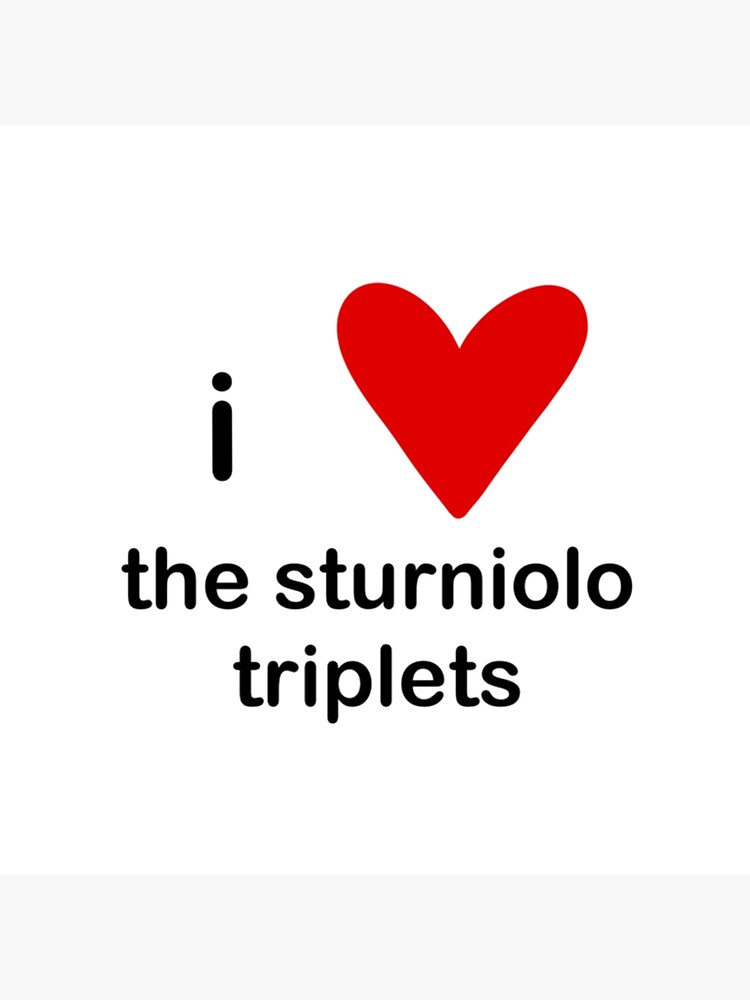  artwork Offical sturniolo triplets Merch
