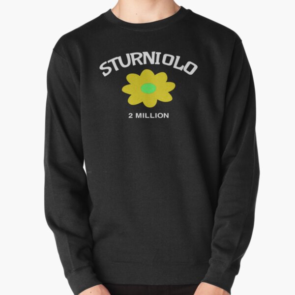 Sturniolo triplets  Pullover Sweatshirt RB1412 product Offical sturniolo triplets Merch