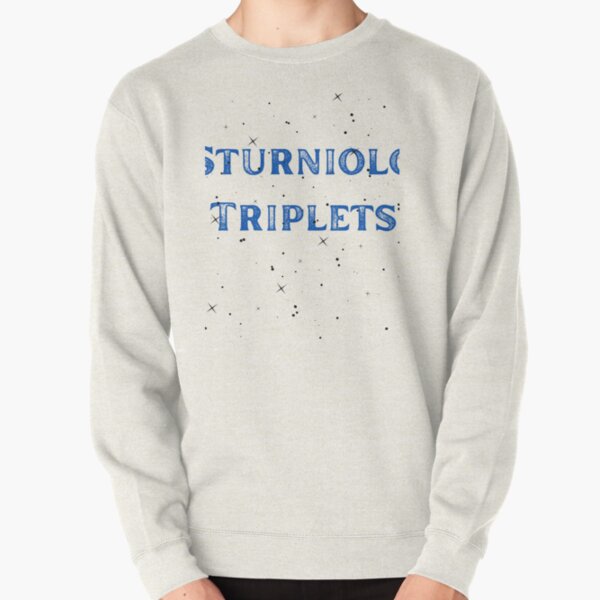 Sturniolo Triplets family State    Pullover Sweatshirt RB1412 product Offical sturniolo triplets Merch