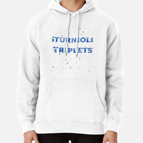 Sturniolo Triplets family State    Pullover Hoodie RB1412 product Offical sturniolo triplets Merch