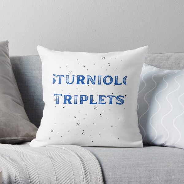 Sturniolo Triplets family State    Throw Pillow RB1412 product Offical sturniolo triplets Merch