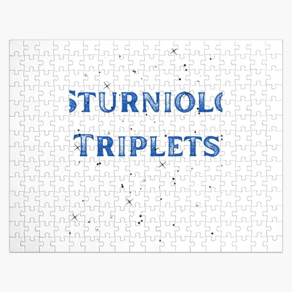 Sturniolo Triplets family State    Jigsaw Puzzle RB1412 product Offical sturniolo triplets Merch